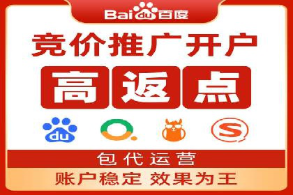 网络推广竞价策略解析与应用案例
